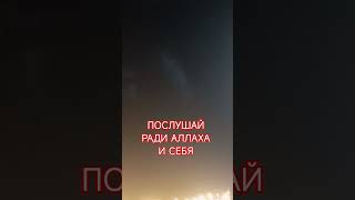 #коран #ислам #аяталькурси #shorts