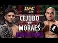 ВОТ ЭТО БОЙ! UFC 238 ГЕНРИ СЕХУДО vs МАРЛОН МОРАЕС / КТО НОВЫЙ ЧЕМПИОН В ЛЕГЧАЙШЕМ ВЕСЕ UFC?