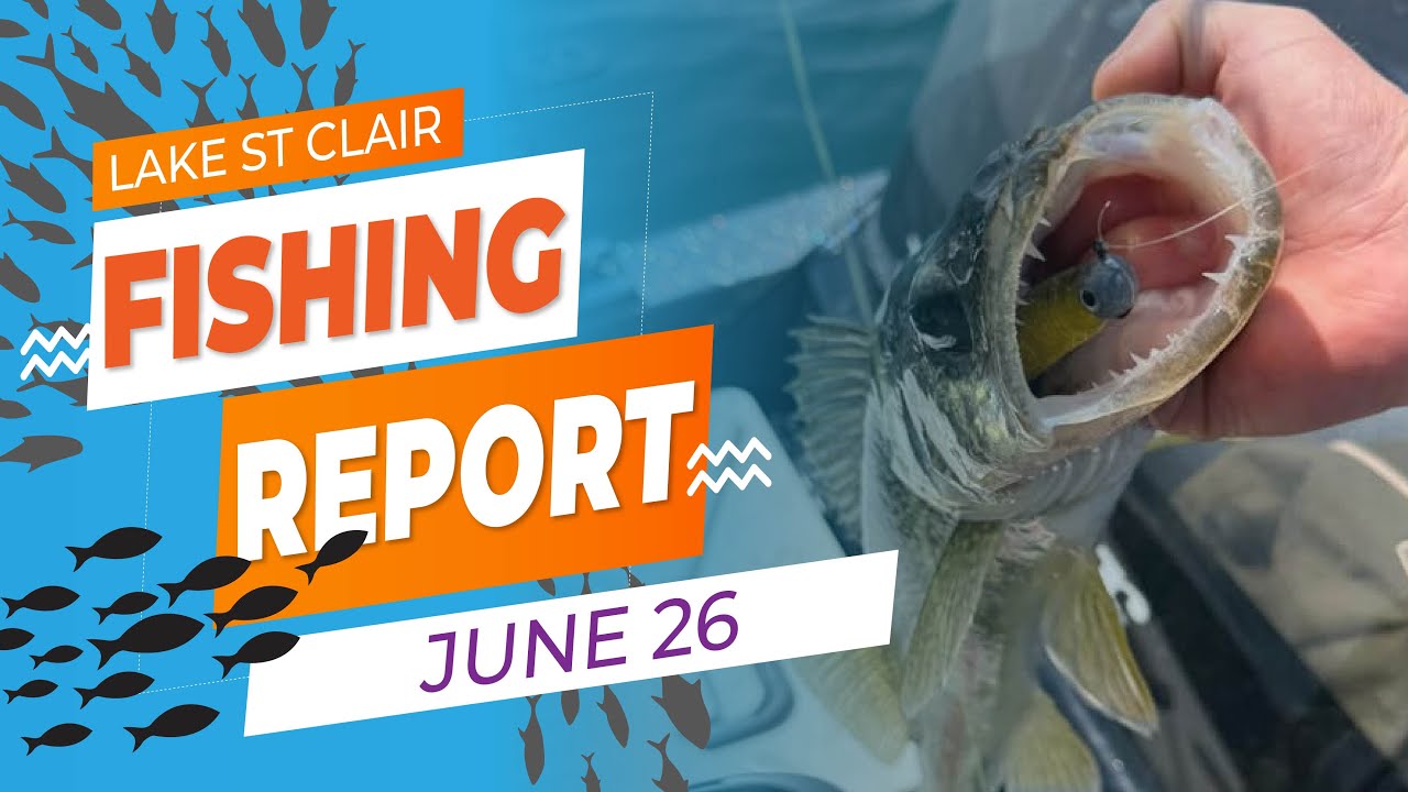 Lake St. Clair Fishing Report | June 26