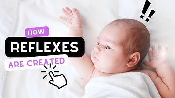 NP- Primitive Reflex Integration and Baby Reflex Creation