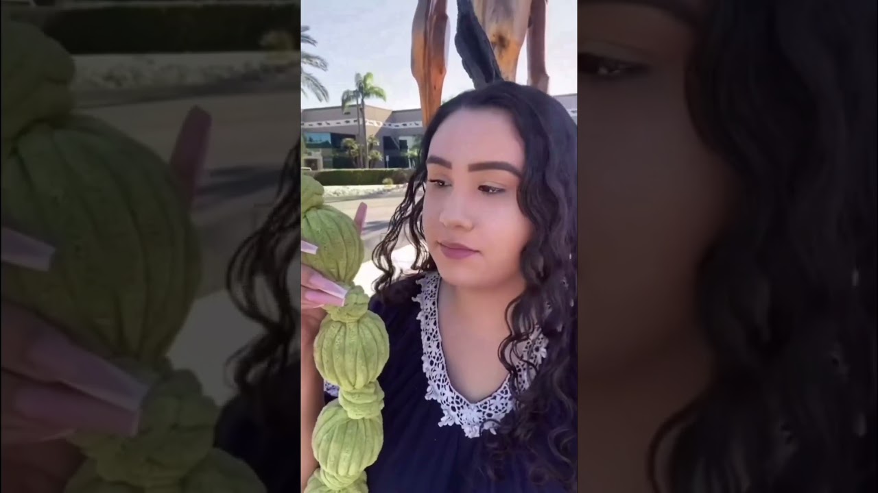 Check out these SAFE DOG TOYS at Petique.com 💚 