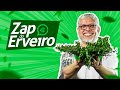 Vamuu láá - ZAP DO ERVEIRO | Ep. 271 Diário do Médium
