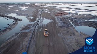 Marsh Creation in Action - Louisiana's Upper Barataria Marsh Creation Project