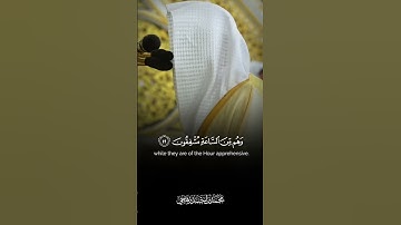 تلاوة من سورة الأنبياء - محمد برهجي