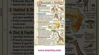 Tallest Giraffe #science #education #learning #notes #real #trending