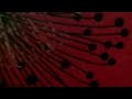 اهلا بيكوا اهلا بيكوا
