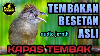 Tembakan Kapas Tembak Gacor  Nembak Dan Besetan Cocok Untuk Pancingan Masteran Murai Batu