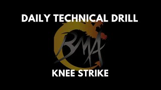 Celebrity DAILY TECHNICAL DRILL - KNEE STRIKE Profile
