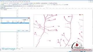 Color Extraction from Images- WiseImage Pro