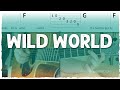 Easy Beginner Guitar Lesson "Wild World" by Cat Stevens | Chords & Strumming + Intermediate Addons