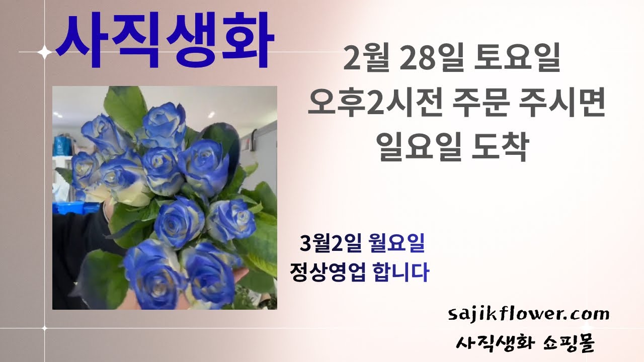 2026년 2월 28일(토요일) 가게 꽃 소개 및 판매 가격 주문방법 소개