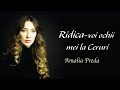 Amalia Preda - Psalmul 121 (Ridica-voi ochii mei la Ceruri)