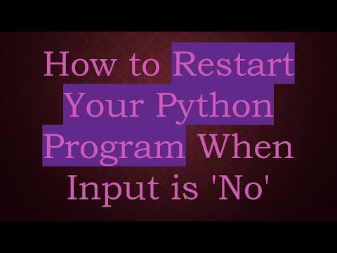 How to Restart Your Python Program When Input is 'No'