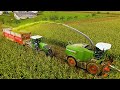 Fendt Katana 65 / Fendt 1050 / Metz Farming / Mais 2019 / Fendt 930 / Krampe / DJI 4K / maisernte