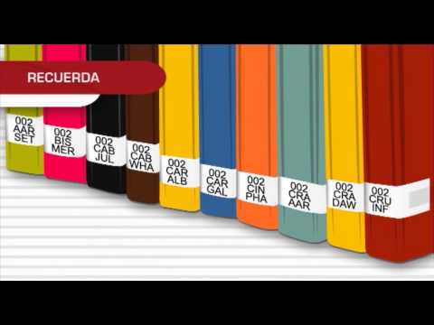 Video: ¿Cómo se construye una pequeña biblioteca gratuita?