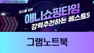 LG 그램 8세대 14Z980, i5/16GB/256GB/Win10, 가벼운 노트북