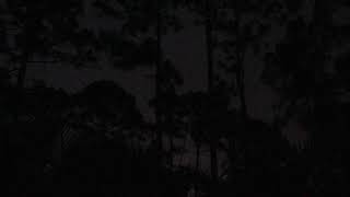 thunderstorm lightning rolling thunder 3 of 6 - Port Saint Lucie Florida August 13 2021