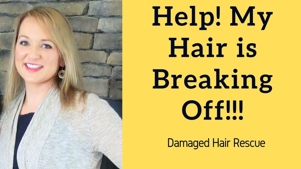 Damaged Breaking Hair How To Restore Your Hair YouTube