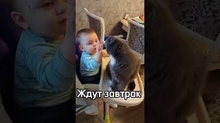 Филя присматривает за Варей #топ #многодетнаясемья #лучшие #дети #дочка #shortsvideo #shorts #shots