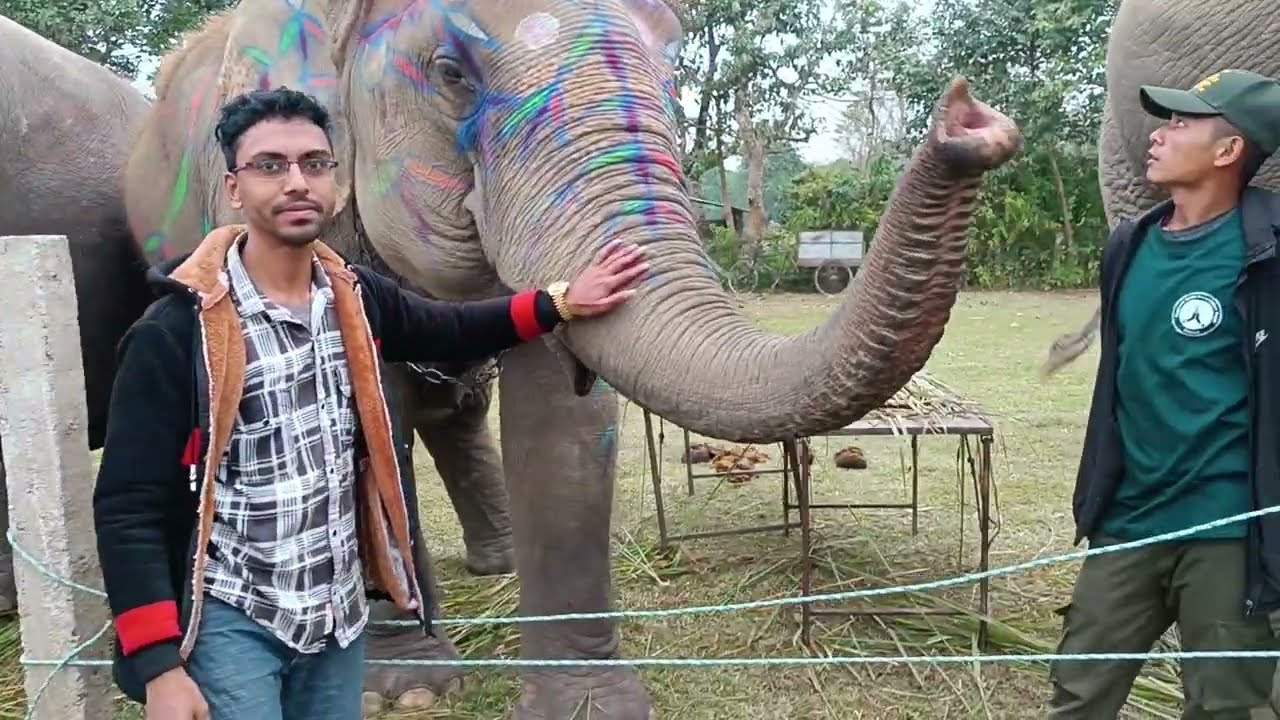 Majestic Elephants at Hatti Mahotsav 🐘 | Nepal Wildlife Festival