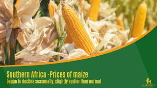 Southern Africa Prices of maize began to decline seasonally, slightly earlier than normal