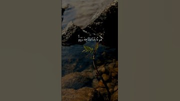 سورة الزمر { ٣٢ ــ ٣٥ } #ياسر_الدوسري انشر تؤجر #quran