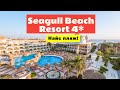 Жили в отеле Seagull beach resort & club 4* Хургада, Египет