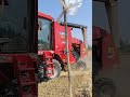 タイトル:畑の知恵!都市型SUVが臨時穀物運搬車に🌾