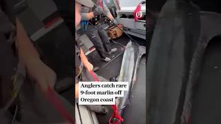 Anglers catch rare 9-foot marlin off Oregon coast