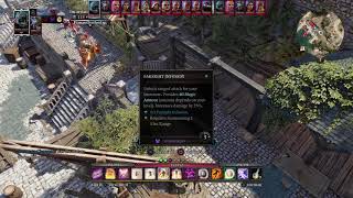 Divinity 2 solo summoner