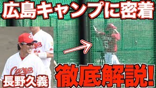 【貴重映像入手‼︎】広島東洋カープのキャンプを徹底解説！