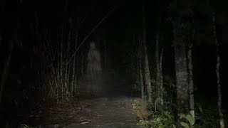 Naik Mobil Tengah Malam Lewat Jalan Paling Horor… Merinding Sepanjang Jalan