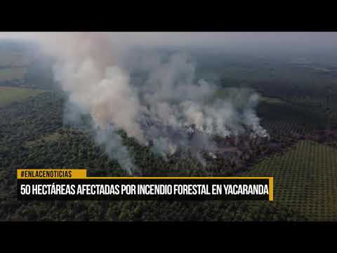 Cincuenta hectáreas afectadas por incendio forestal en Yacaranda