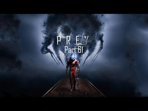bird of prey destiny 2 bugged bird of prey destiny 2 bugged