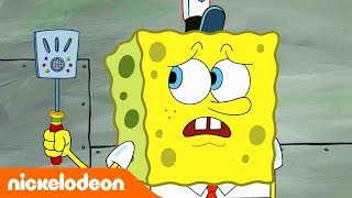 SpongeBob | Nickelodeon Arabia | سبونج بوب | سيد الأزيز