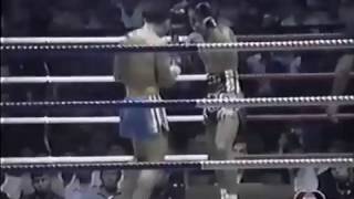 Saengrai Sitkruaod VS Berkrerk Pinsinchai