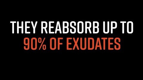 How Plant Exudates REALLY Work | REGENERATIVE SOIL