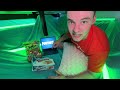 Middle of video