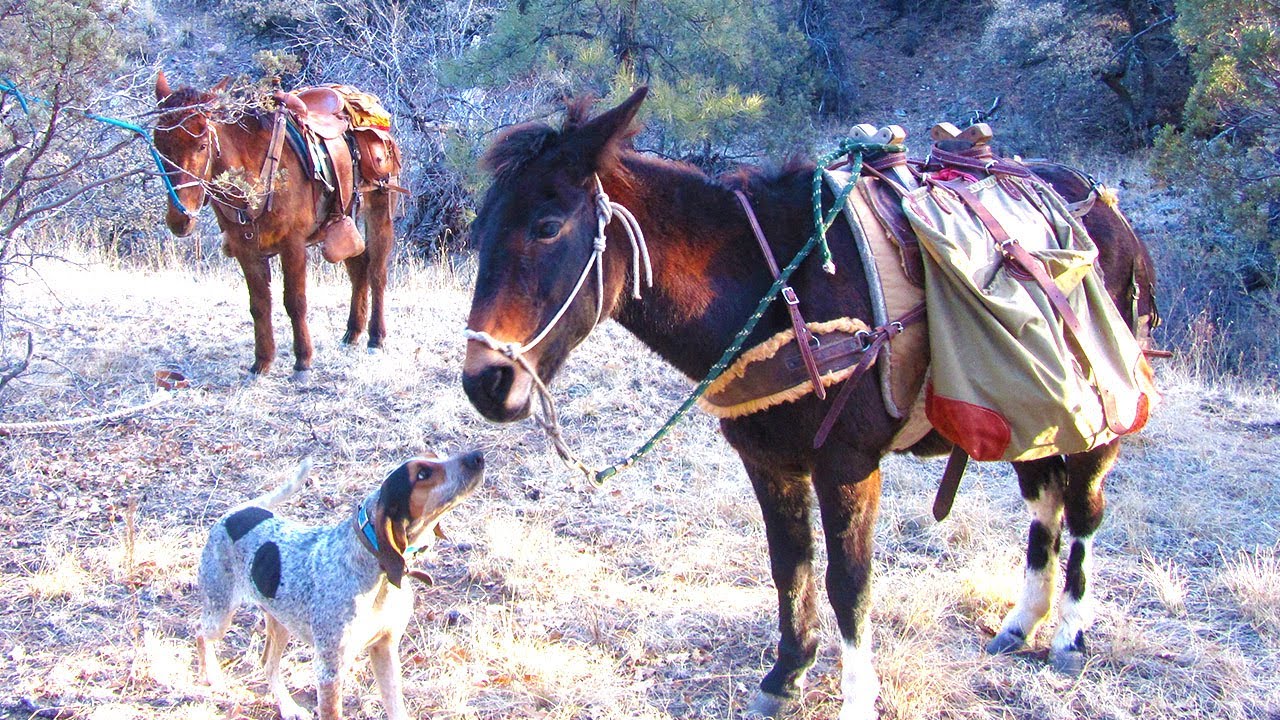 Wilderness Camping .. ACCIDENT .. couldn't believe it