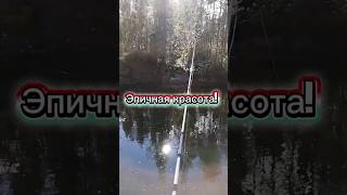НАСЛАЖДАЕМСЯ КРАСИВЕЙШИМИ МЕСТАМИ! #рыбалка #форель #природасеверногокрая #природа #живаяприрода