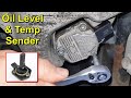 Oil Level and Temperature Sender - Volkswagen Golf Mk5