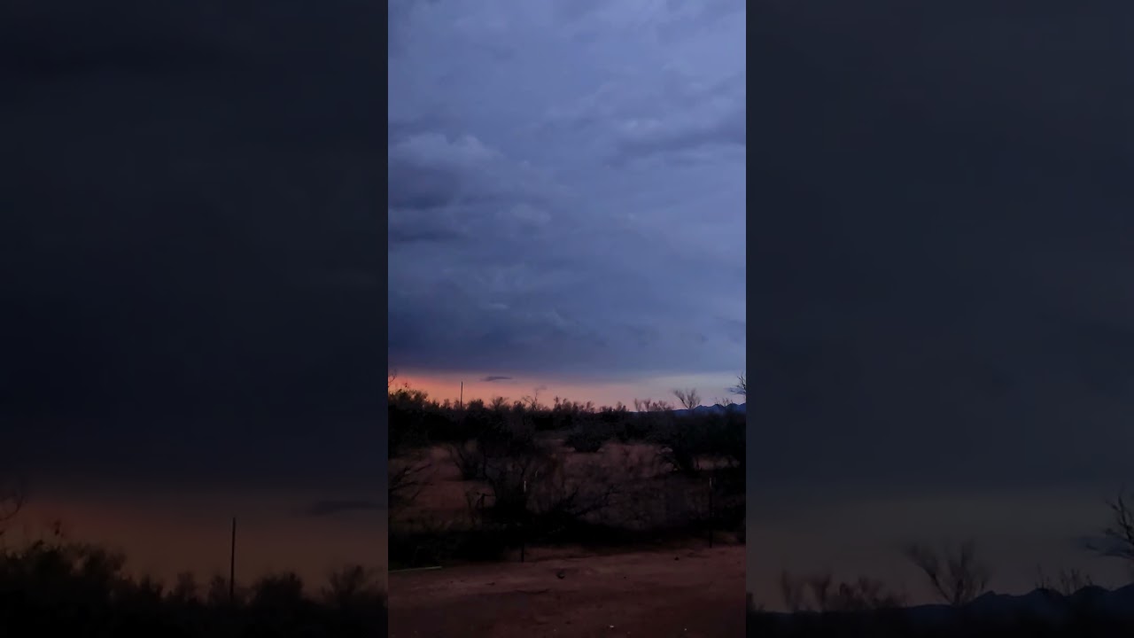 cow lightning #shorts #dbad #animals #storm #arizona #adventure #funny