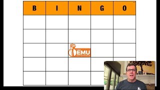 How to Use BINGO in Your Classroom