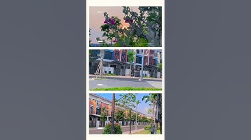 Những thước phim về tại Công Viên xanh mát tại VSIP 2 Bình Dương