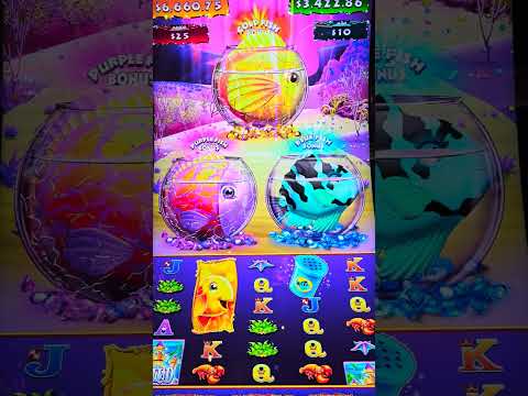 Distressed Fish in Excalibur Las Vegas! #SaveThem 🤣