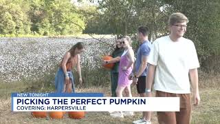 Pumpkin patch at Old Baker Farm opens for the season