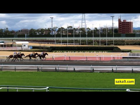 【現地】カレンロマチェンコ 昇竜S 松若風馬