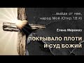 Покрывало плоти и суд Божий (Елена Мережко)