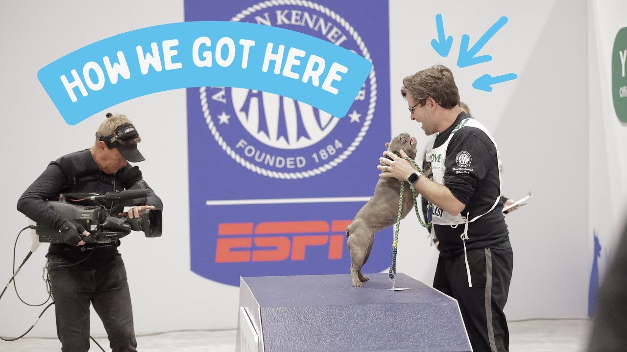 Sushi's Road To The AKC Agility Finals: A Tale Of Triumph, Trials, And Teamwork 🐾