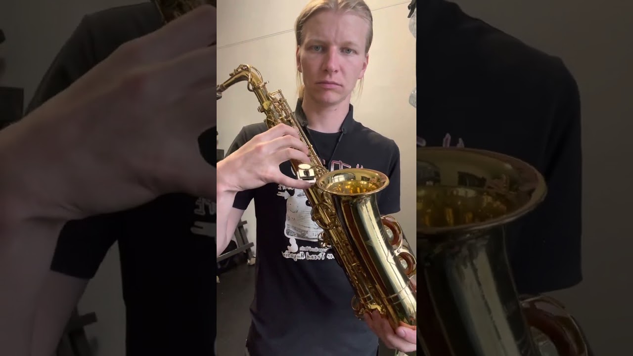 Saxophone alto Yanagisawa  a 500